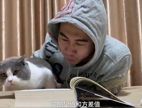 猫：我是谁？我在哪？我承受了这个年纪不该有的负担