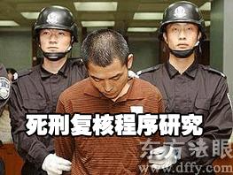 律师在参与死刑复核程序的实践中主要做些什么工作？