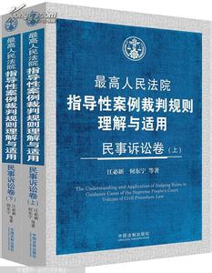 论指导性案例的内在特点及与司法实践的需求